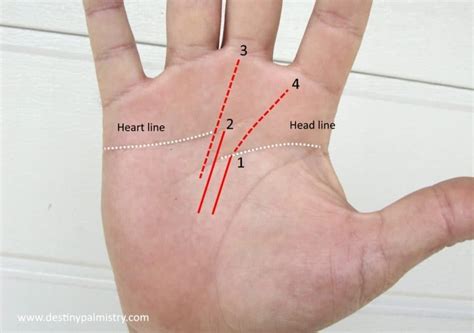 Career Fate Line Success Prediction From Your Palm - Destiny Palmistry ...