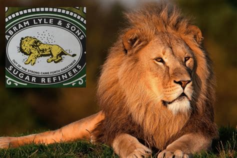 lyles golden syrup     dead lion  tin