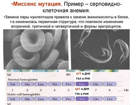 Генные мутации - презентация онлайн