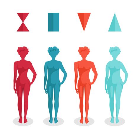 Woman Body Types : 12 female body types! Which are you? Which do you