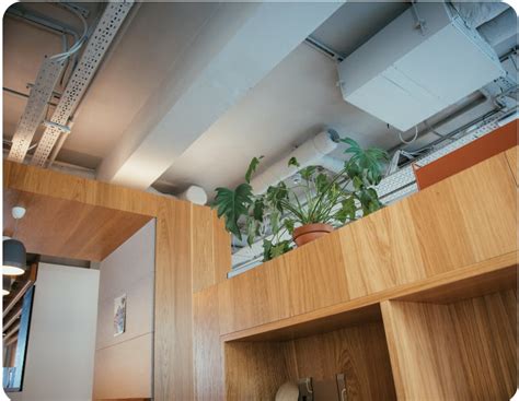 Sustainable Woodworking: A Guide to Eco-Friendly Projects - Forma