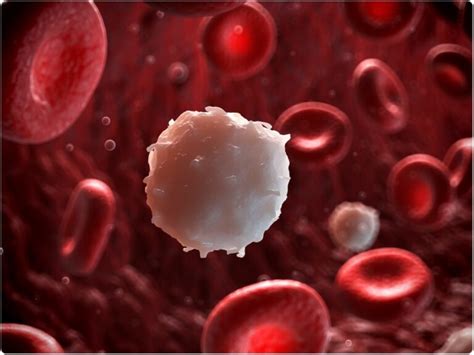 An In-Depth Guide On Pyospermia: Symptoms, Causes & Treatment