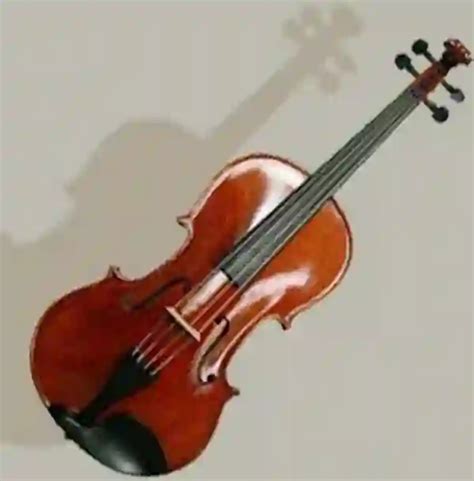 Historical development of the viola | Philipp Dangas