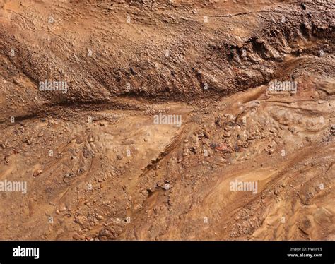 alluvial soil