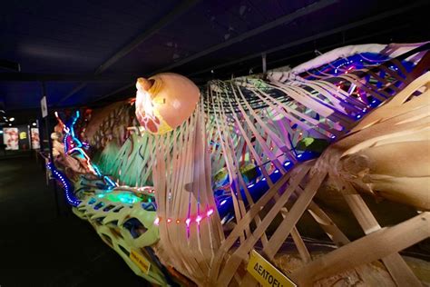 Προσφορά Human Body Museum | GoodDeals