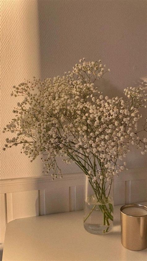 бежевый эстетика | Цветы на столе, Природные тона, Фотография цветов