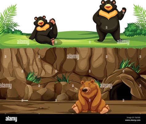 Cave bear drawing hi-res stock photography and images - Alamy