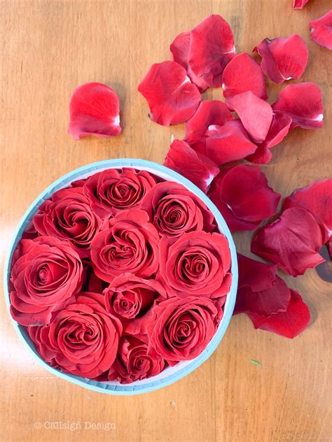how to preserve roses 7
