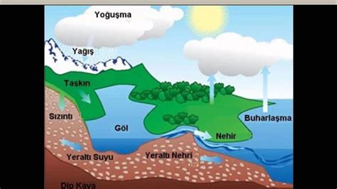 SU DÖNGÜSÜ VE ÖNEMİ - YouTube