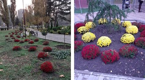 Масштабная высадка цветов и деревьев началась в симферопольских парках ...