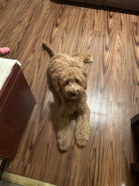 By looking at these pics can you guess how big my 6 month old