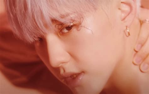 seventeens hoshi reveals   solo song spider   life