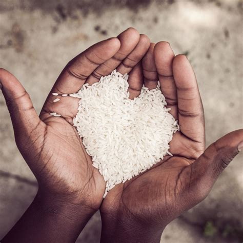 world kitchen voicereels