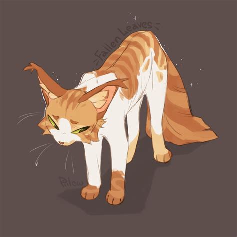 cloudtail warrior cats 12