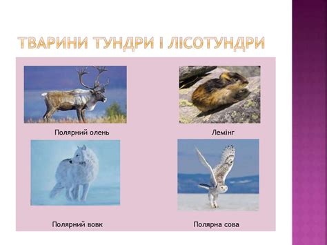 Природні зони Євразії. Вертикальна поясність. 7 клас - презентация онлайн