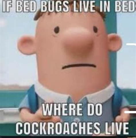 funny cursed memes   wondrous