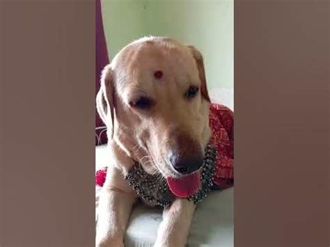 bou...! - YouTube