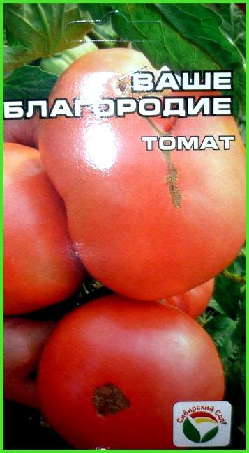Томаты среднерослые для теплиц - Всё про теплицы