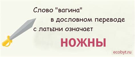 10 малоизвестных фактов о влагалище
