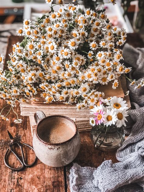 A seasonal shift - janneford.com