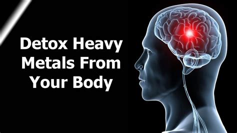 6 Super foods That Detoxify Heavy Metals From Your Body | How To Detox ...