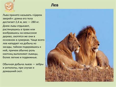 Где живут слоны - презентация онлайн
