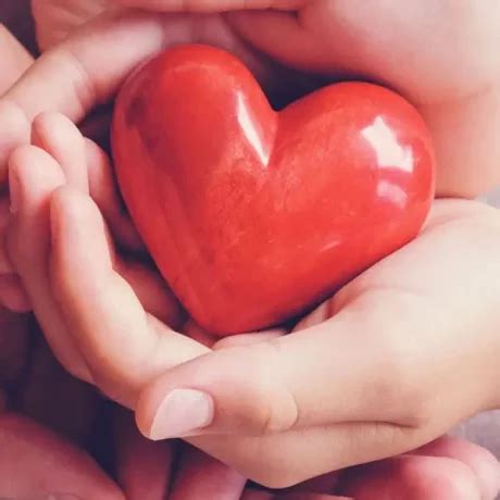 Cardiology Clinic In Singapore | Forte Cardiology Clinic