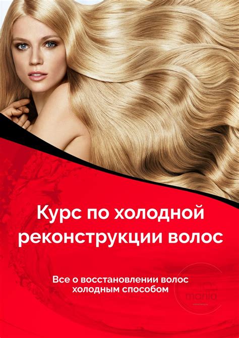 Курс по холодному восстановления волос - Черноштан В.В. - скачать на ...