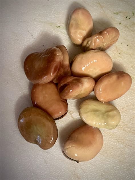 What beans are these?? Do I need to peel them? : r/Beans