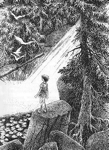Pin su Тушь—перо пейзаж животные