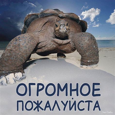 Открытки со словом пожалуйста