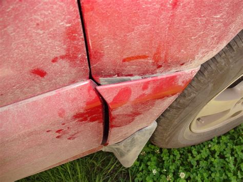 Мелкий ремонт накладки на крыло. — Subaru Forester (SF), 2 л, 2000 года ...
