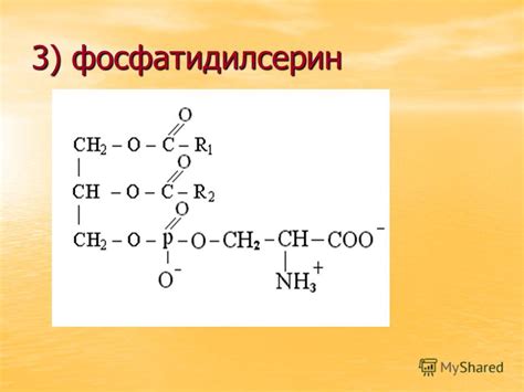 Презентация на тему: "ЛИПИДЫ". Скачать бесплатно и без регистрации.
