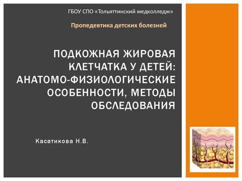 Подкожная жировая клетчатка у детей: анатомо-физиологические ...