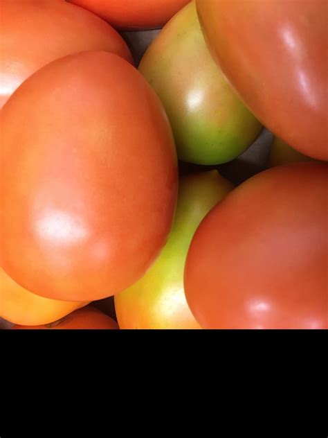 Can Roma Tomatoes Ripen Off The Vine – Tips For Ripening