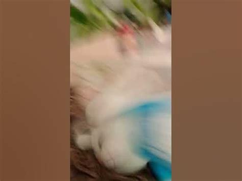 злой заяц#рек #рекомендации #хочуврек #мем #рофлы #мемы #meme #котики # ...