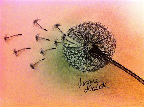 Naszkicowana - Zabawa cieniem...: DMUCHAWCE LATAWCE / mniszek lekarski ...