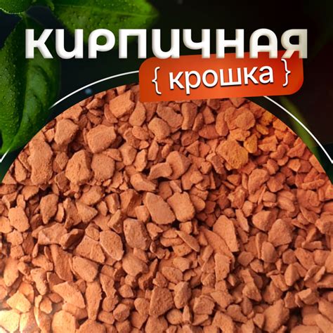 Кирпичная крошка для растений 500 гр. 2-4 мм - купить по низкой цене в ...