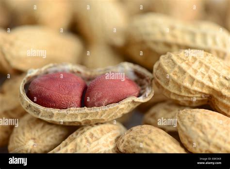 Peanut hi-res stock photography and images - Alamy
