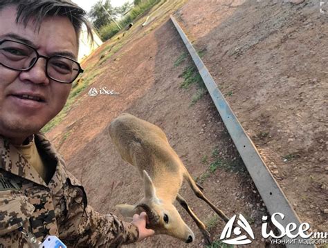 П.Чинзориг: Суданд энхийг сахиулсан монгол цэргийн худалдан авч ...