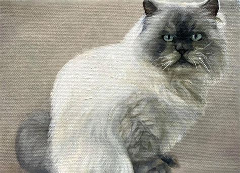 Cat Portrait Painting Cat Oil Painting Pet Oil Portrait | Etsy