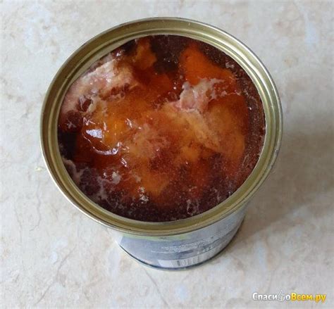 Отзыв про Свинина тушёная "Rus meat" Бобровский мясокомбинат: "Неплохая ...