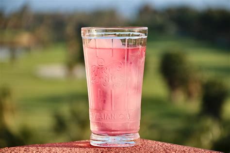 Is There Flavored Water Without Artificial Sweeteners? – Skinny Mixes