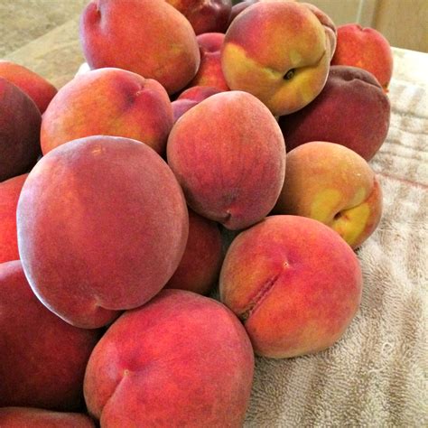 This Peach Jar Leak Ruined My Day...But It's Hilariously Relatable Image 20