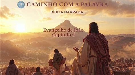 Evangelho De João Capítulo 2 - Bíblia Narrada : Evangelho de João, Capítulo 2 - YouTube