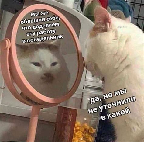 прокрастинация :: картинка с текстом :: котэ (прикольные картинки с ...