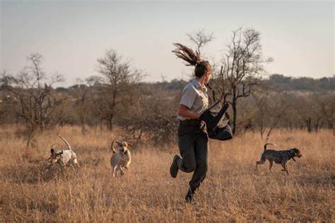 Estos perros han salvado a 45 rinocerontes de los cazadores ilegales ...