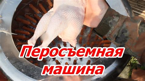 Перосъемная машина - YouTube