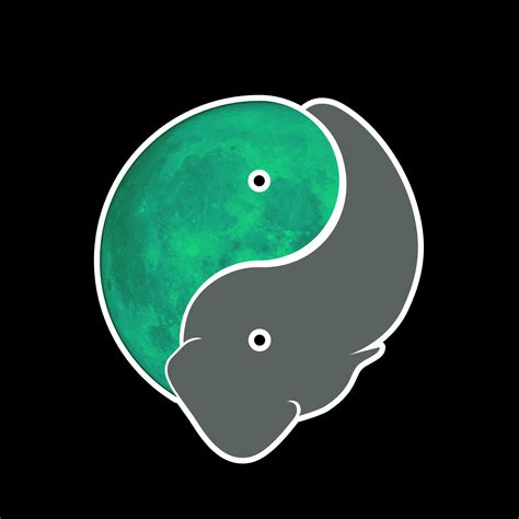 Biografía — Jenny P Burbano | Compartiendo Experiencias