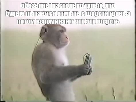 Мем: "обезьяны настолько тупые, что бурые пытаются отмыть с шерсти ...